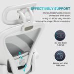 Ergonomic Office Chair High Back Computer Chair with Adjustable Lumbar Support
