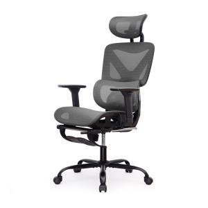 Adjustable Lumbar Support Mesh Ergonomic Office Chair