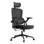 Adjustable Ergonomic Office Chair with Lumbar Support