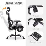 Adjustable Lumbar Support Mesh Ergonomic Office Chair