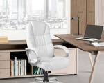 Adjustable High Back Ergonomic Office Chair, White