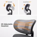 Adjustable Lumbar Support Mesh Ergonomic Office Chair