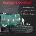 Adjustable Ergonomic Office Chair with Lumbar Support