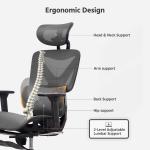 Adjustable Lumbar Support Mesh Ergonomic Office Chair