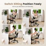 Home Office Chair Ergonomic Computer Desk Chair with Lumbar Support Cross Legged