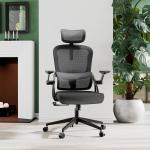 Adjustable Ergonomic Office Chair with Lumbar Support