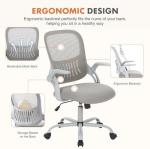 Adjustable Ergonomic Mesh Office Chair with Lumbar Support