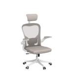 Ergonomic High Back Office Chair with Lumbar Support