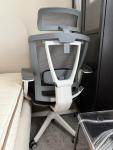 ErgoChair Pro - Cool Gray Ergonomic Desk Chair