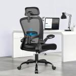 FelixKing Office Chair, Desk Chair with Adjustable Lumbar Support, Ergonomic Computer Chair with High Back and Armrest, Adjustable Height Gaming Chair Home Office Swivel Chair, Pack of 5, Black