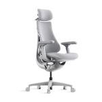 LiberNovo Dynamic Ergonomic Office Chair - Comfy Adjustable Desk Chair with Adaptive Lumbar Support, 160° Recline & Built-in Spine Stretch for Back Comfort, Home Office Long Hours Use, Gray+45cm