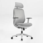 EUREKA ERGONOMIC OC75 Mesh Office Chair, Ergonomic Office Chair with Lumbar Support, Home Office Desk Chairs with 3D Armrests and Headrest, Computer Desk Chair, Grey