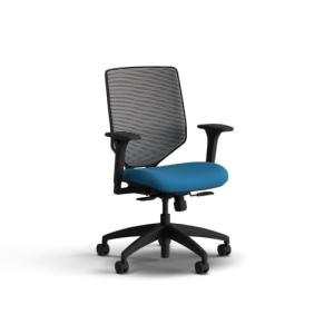 HON Solve Office Chair, Ergonomic Office Chair Mesh Back Support, Adjustable Lumbar Support, Height Adjustable Arms, Black Frame, Peacock