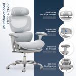 COLAMY Ergonomic Mesh Office Chair, High Back Desk Chair with Footrest, Adjustable Headrest and 3D Arms, Fixed Tilt Lock, Lumbar Support, Breathable Mesh Computer Chair for Home Office,Grey