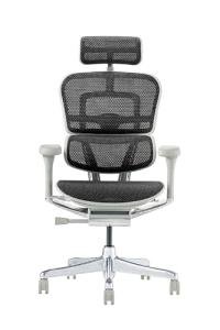 Ergohuman2 EHP2-HAM-DR-GF-BK(PU) 445411 Office Chair with Headrest, Elevation Type, Memory Locking Function, Elastomeric Mesh, PU Caster, Pro High Type, Frame: Gray, Mesh: Black