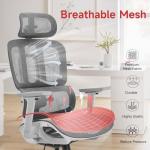 VIVSTAR Big Promotion Ergonomic Office Chair with Lumbar Support, 3D Adjustable Armrest, Mesh Home Office Desk Chair, High Back Reclining Executive Computer Office Chair,400lbs Capacity (Gray-3)