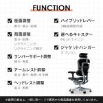 Ergohuman2 EHP2-HAM-DR-GF-BK(PU) 445411 Office Chair with Headrest, Elevation Type, Memory Locking Function, Elastomeric Mesh, PU Caster, Pro High Type, Frame: Gray, Mesh: Black