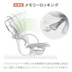 Ergohuman2 EHP2-HAM-DR-GF-BK(PU) 445411 Office Chair with Headrest, Elevation Type, Memory Locking Function, Elastomeric Mesh, PU Caster, Pro High Type, Frame: Gray, Mesh: Black