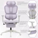 Ergonomic Office Chair with Footrest, High Back Computer Office Chair with Dynamic Lumbar Support, 2D Headrest, 2D Armrest, Sponge Seat, Mesh Home Office Desk Chair for Adults, Purple