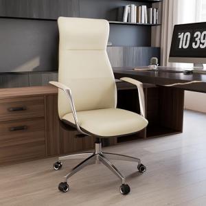 EUREKA ERGONOMIC Executive Office Chair, Silicone Leather Office Chair High Back, Ergonomic Desk Chair, Big and Tall with Adjustable Swivel Rolling for Home Office, Off-White