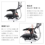 Ergohuman2 EHP2-HAM-DR-GF-BK(PU) 445411 Office Chair with Headrest, Elevation Type, Memory Locking Function, Elastomeric Mesh, PU Caster, Pro High Type, Frame: Gray, Mesh: Black