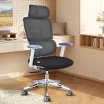 Livegift Ergonomic Office Chair with Lumbar Support,Headrest, and6D Armrests - Mesh Computer Chair with Coat Hook-500 lbsWeight Capacity - Extra-Wide Seat- High-Back Office Chair, Black