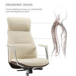 EUREKA ERGONOMIC Executive Office Chair, Silicone Leather Office Chair High Back, Ergonomic Desk Chair, Big and Tall with Adjustable Swivel Rolling for Home Office, Off-White