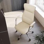 EUREKA ERGONOMIC Executive Office Chair, Silicone Leather Office Chair High Back, Ergonomic Desk Chair, Big and Tall with Adjustable Swivel Rolling for Home Office, Off-White