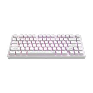 Dark Project ALU81A TERRA NOSTRA Mechanical Gaming Keyboard | ANSI ENG | Hot-Swap | G3MS Moonstone Greased Switches | Greased Stabilisers | Flex Gasket Mount | Aluminum | 75% (81keys) | RGB | Wired