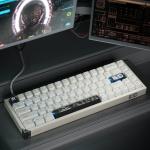 Piifox Defender 68 Rapid Tenkeyless Wired Gaming Keyboard with Magnetic Switch,RGB HotSwapple,Aluminium Base,65% Layout 68 Keys,8K Polling, Per-Key Custom PC Gaming Keyboards(White)