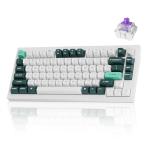 Keychron Q1 HE Wireless QMK Custom Mechanical Keyboard with Hall Effect Gateron Double-Rail Magnetic Switch Rapid Trigger, 2.4 GHz Bluetooth RGB Compatible with Mac Windows Linux (Hot-swappable)