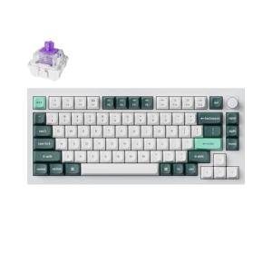 Keychron Q1 HE QMK Rapid Trigger Wireless Custom Mechanical Keyboard, 2.4 GHz/Bluetooth/Wired 75% Hot-Swappable Programmable RGB Gateron Double-Rail Magnetic Switches for Mac Windows, Shell White