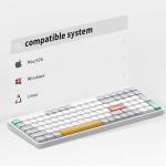 nuphy Air96 V2 Wireless Mechanical Keyboard,100 Keys RGB Backlit Keyboard,Supports Bluetooth 5.1,2.4G and Wired Connection,for PC/Laptop/Windows/Mac -White Gateron Aloe Switch