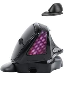 Wireless Mouse Large Angle Adjustable Ergonomic Vertical Upright Carpal Tunnel Ergo Right Hand 6 buttons USB Optical Mice for PC Laptop Computer Macbook Gift,3600 DPI,Removable Palm Rest,RGB Light