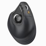 ProtoArc Vertical Wireless Trackball Mouse, EM05 NL Bluetooth Ergonomic Rollerball Mouse Rechargeable Computer Laptop Thumb Mice, 3 Device Connection, Compatible with iPad, Mac, Windows, PC-Gray