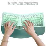 TISHLED Ergonomic Wireless Keyboard and Mouse Combo with Wrist Rest, Curved Split Keys Clicky 84-Key Membrane Keyboard 6-Key Vertical Mouse Set for Win/Mac/PC/Laptop, AAA Batteries, Mint Green