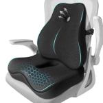 Seat Cushion,Lumbar Support Pillow for Office Chair,Memory Foam Coccyx Seat Cushion,Ergonomic Mesh Back Support Pillow,Office Desk Chair Cushion for Sciatica,Back&Tailbone Pain Relief,Black