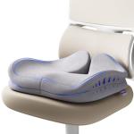 ZZ-WELL Seat Cushions for Office Chairs - Patented Extra Large Seat Cushion 21.2" W x 16.5" L - Memory Foam Seat Cushion for Tailbone Pain Relief, Sitting Pressure Relief (Light Grey)
