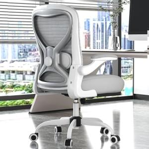 CASASIO Office Desk Chair with Ergonomic Lumbar Support, Extra-Thick Seat Cushion, Flip-up Arms, Breathable Mesh Back, Computer Task Chair for Home Office