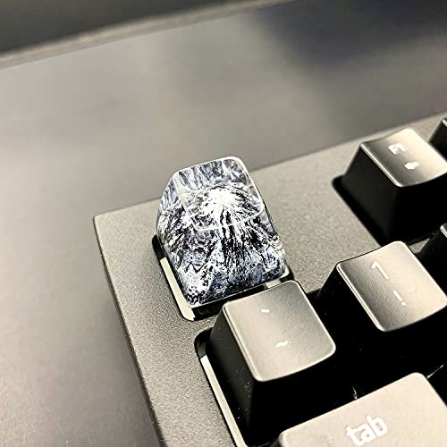 Mt. Fuji Backlit Resin Artisan Keycap for MX