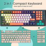 RisoPhy RGB Gaming Keyboard with Hot-Swap Keys
