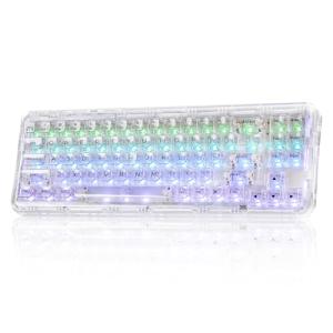 YUNZII X71 Wireless Hot Swappable Transparent Mechanical Keyboard with Clear Keycaps, 68% Layout, BT5.0/2.4G/USB-C Gasket Mount Wireless RGB Backlit for Windows/Mac(Crystal Ice Switch,White)