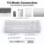 YUNZII X71 Wireless Hot Swappable Transparent Mechanical Keyboard with Clear Keycaps, 68% Layout, BT5.0/2.4G/USB-C Gasket Mount Wireless RGB Backlit for Windows/Mac(Crystal Ice Switch,White)