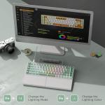 RK ROYAL KLUDGE RKS70 Ergonomic Split Mechanical Keyboard, Wireless Bluetooth/2.4G/Wired Keyboard with Wrist Rest, 75% RGB PC Gaming Keyboards for Win/Mac, Hot Swappable Silver Grey Switches, White