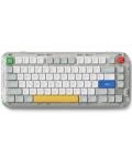 nuphy Kick75 Wireless Low Profile Keyboard with Knob,75% Layout 80 Keys RGB Backlit, Hot Swappable Gaming Mechanical Keyboard with PBT Keycaps,Support BT/2.4G/USB-C (Blush Nano Switch)