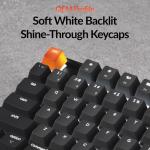 Keychron K8 Wireless Mechanical Keyboard – Silent Red Switch for Quiet Office and Gaming, TKL 87 Keys, Soft White LED Backlight, Bluetooth & USB-C Wired Connectivity, Compatible with Mac and Windows