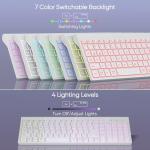 SABLUTE Wireless Compact Keyboard with Colorful Backlights