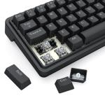 Redragon K722 60% Wired Gasket RGB Gaming Keyboard, 61 Keys Hot-Swap Compact Mechanical Keyboard w/Free-Mod Socket, 3-Layer Noise Dampening, Quiet Custom Linear Switch