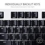 Razer BlackWidow Lite TKL Tenkeyless Mechanical Keyboard : Orange Key Switches - Tactile & Silent - White Individual Key Lighting - Compact Design - Detachable Cable - Stormtrooper Limited Edition