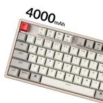 Keychron K8 87 Keys Tenkeyless Layout Wireless Bluetooth Mechanical Keyboard for Mac, Multitasking Type-C Wired Gaming Keyboard for Windows with Keychron Mechanical Red Switch Aluminum Frame
